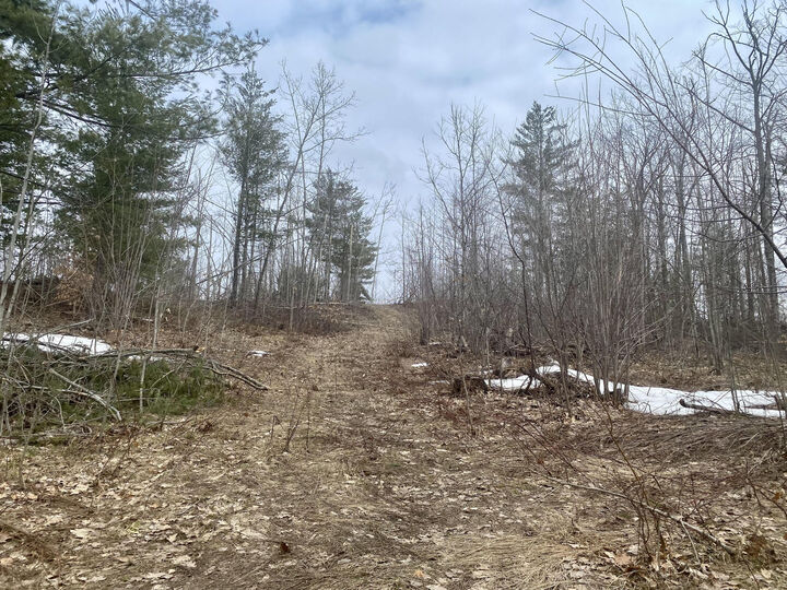 7.6 Acres Trails End  Gaylord MI 49735 photo