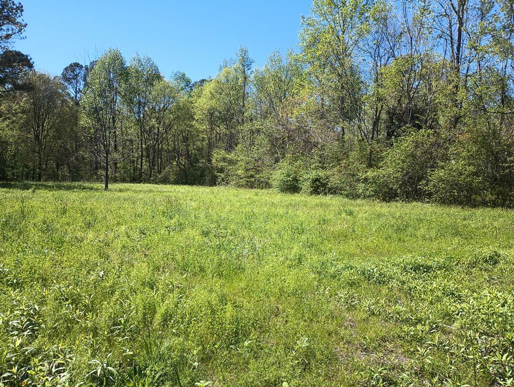 Property Photo: 00 Holly Creek Cool Springs Road GA 30705