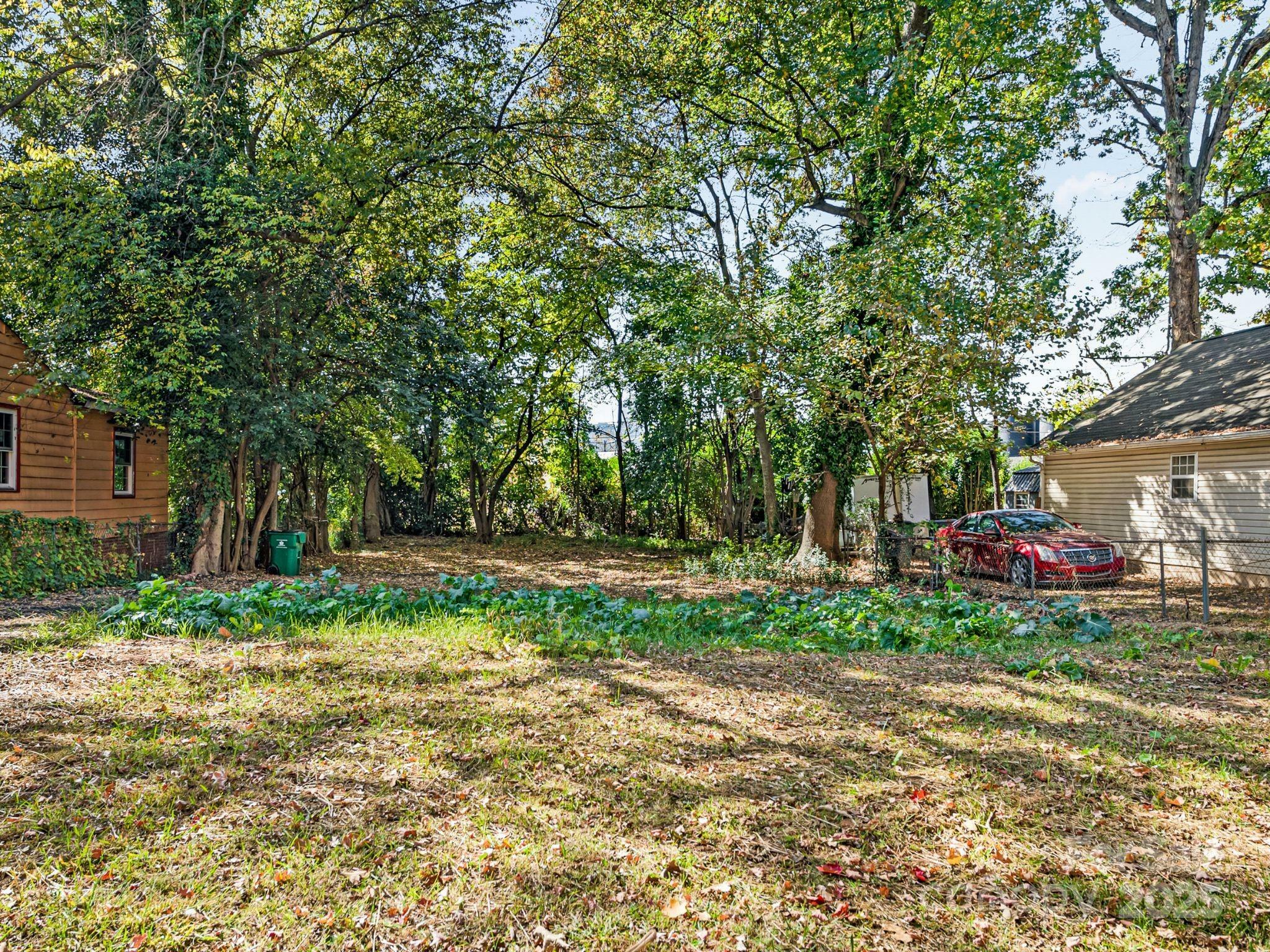 Property Photo: 221 Plymouth Avenue NC 28206