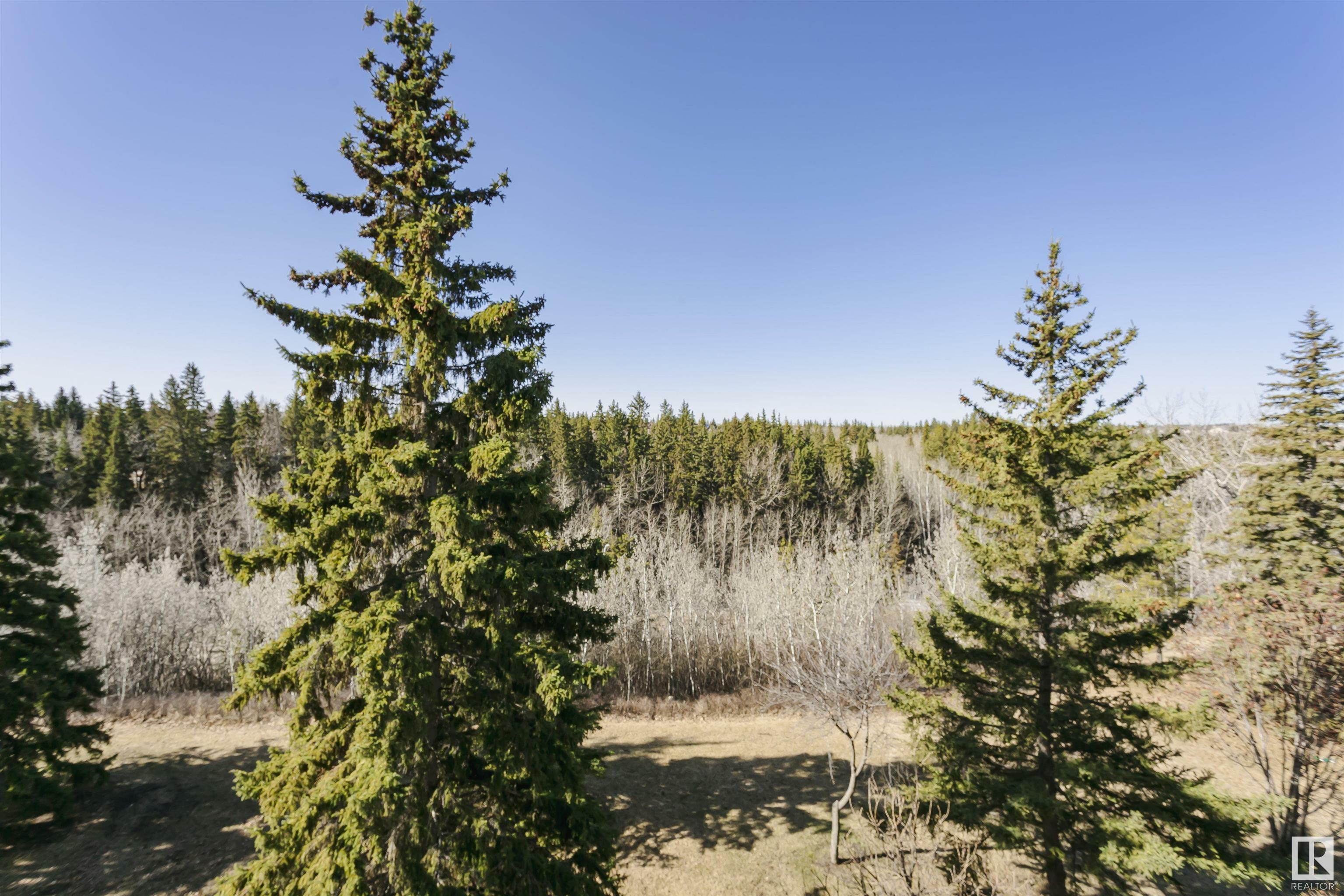4404 122 Street NW 406  Edmonton AB T6J 4A9 photo