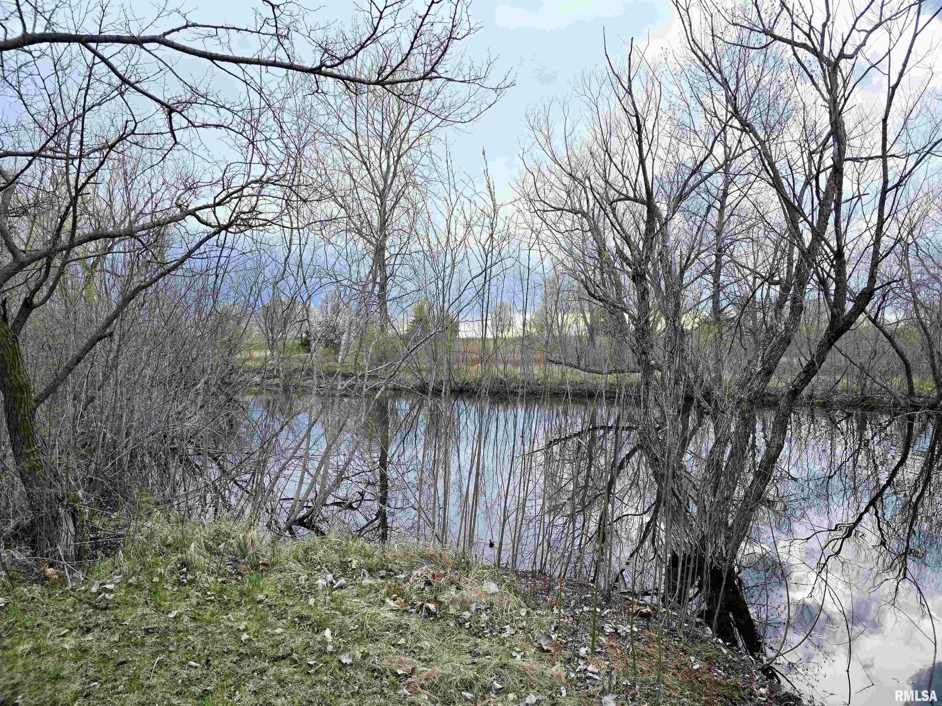 Property Photo: 0 Brad Road IL 61520