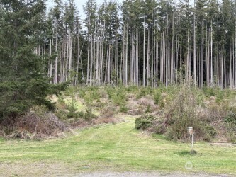 0  Foxglove Hollow  Freeland WA 98249 photo