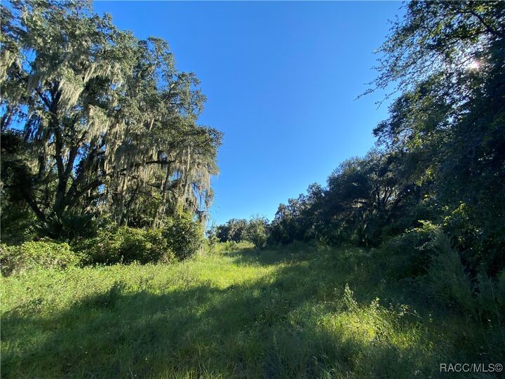 Property Photo: 8701 S Fruition Avenue FL 34436
