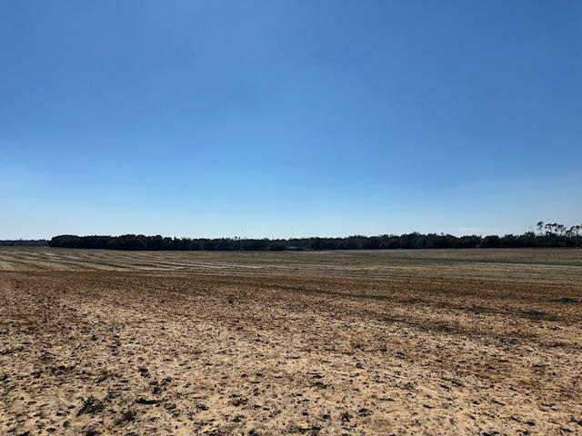 Property Photo:  Xxx Highway 374  GA 39845 