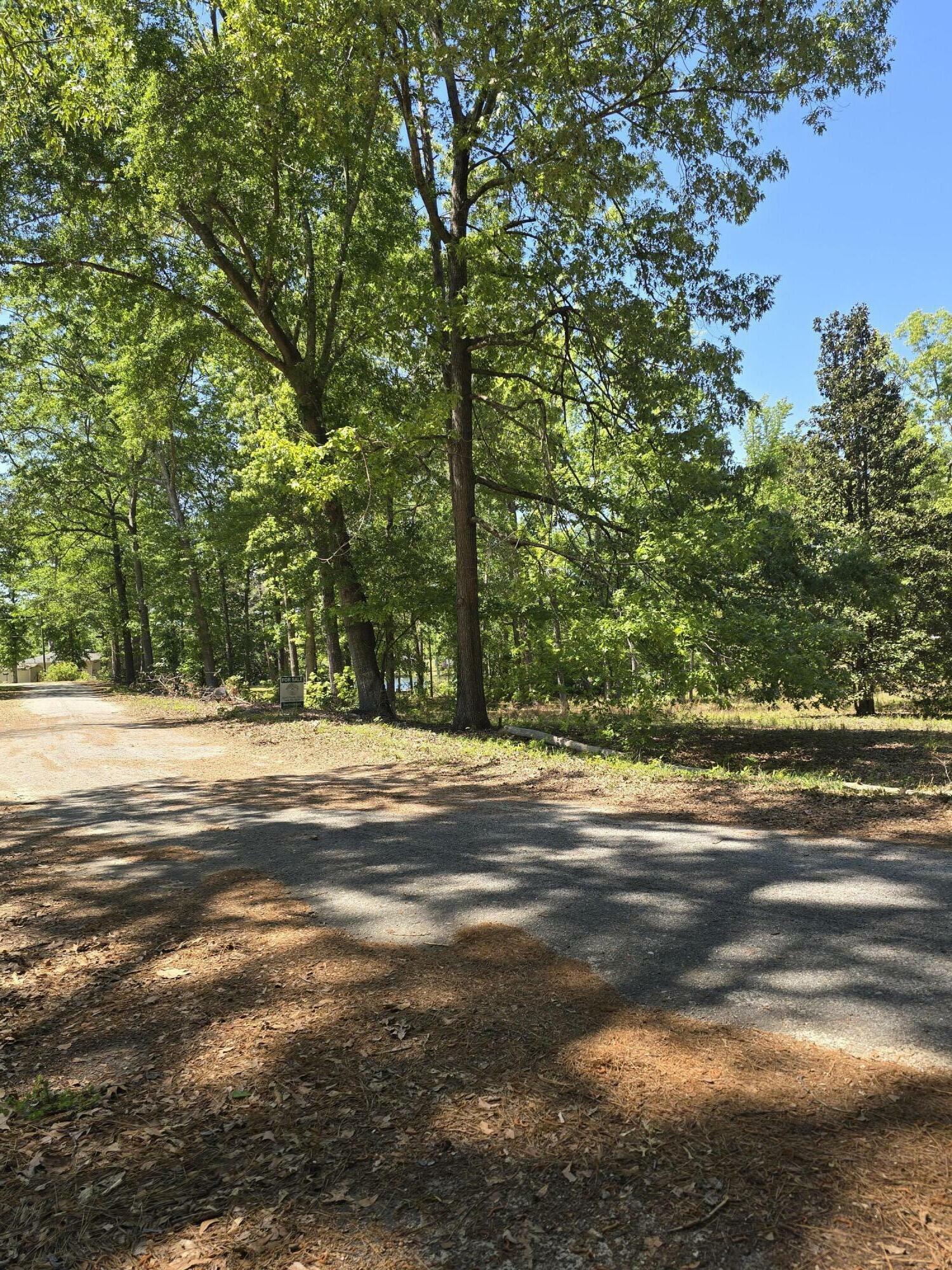 Property Photo:  0 Delano Street  SC 29102 