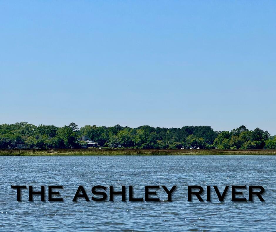 Property Photo: 195 Ashley Hall Plantation Road SC 29407
