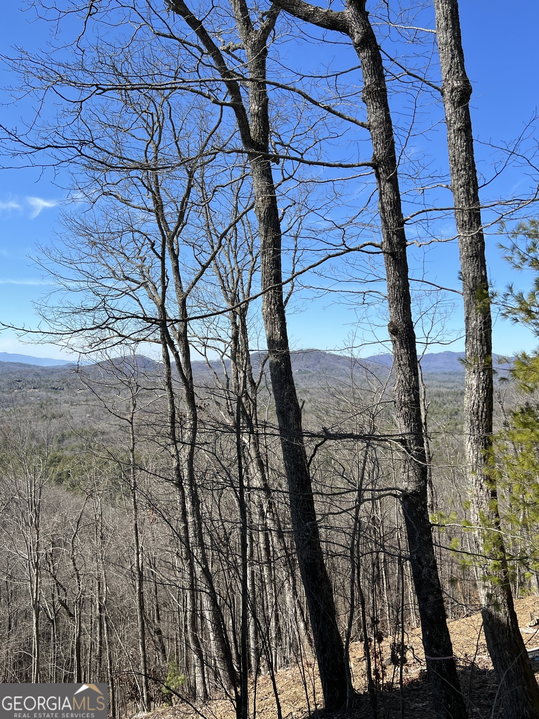 Property Photo: 32 Raven Ridge GA 30559