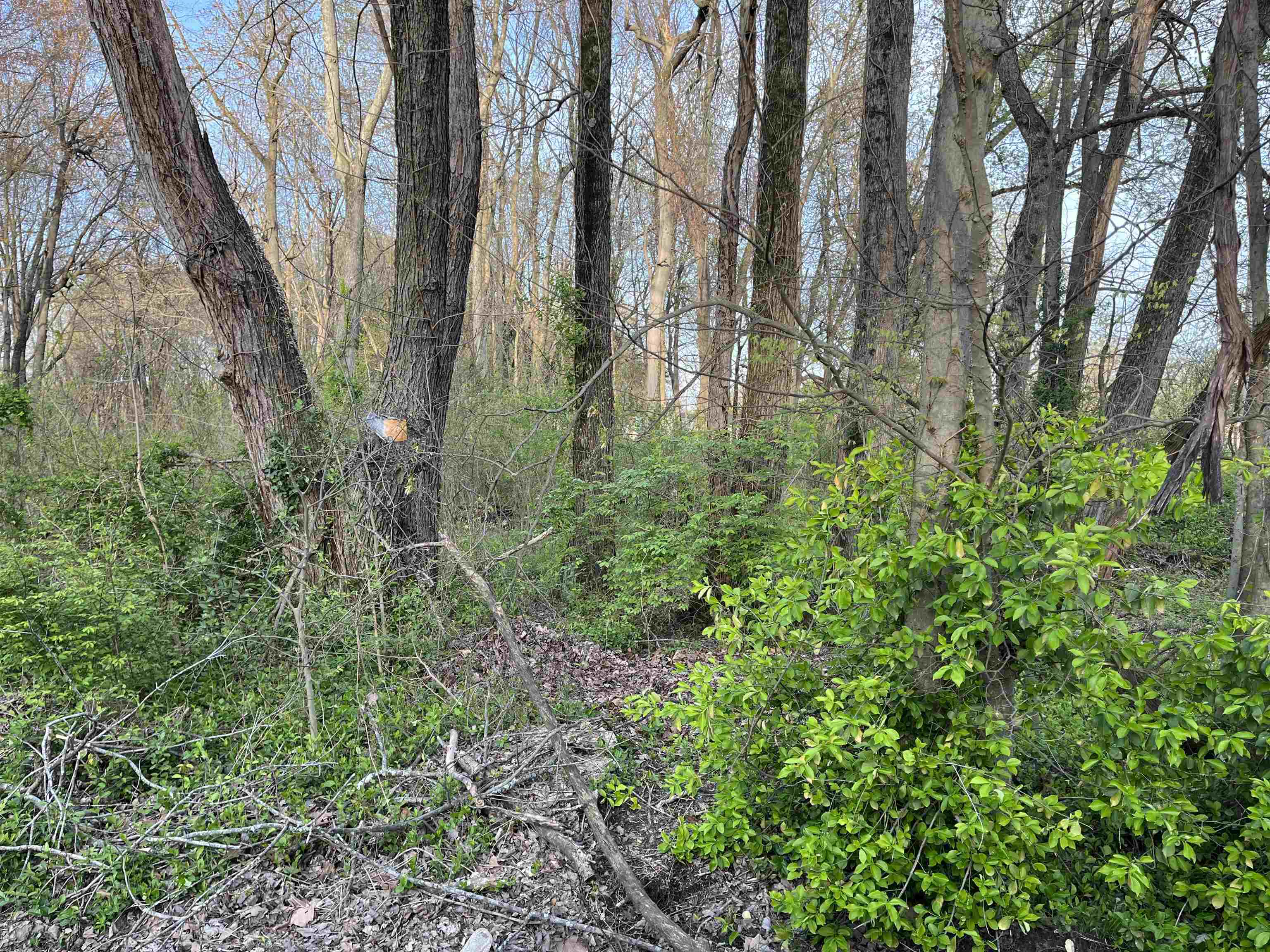 Property Photo: 1764 Burdette Ave. IN 47714
