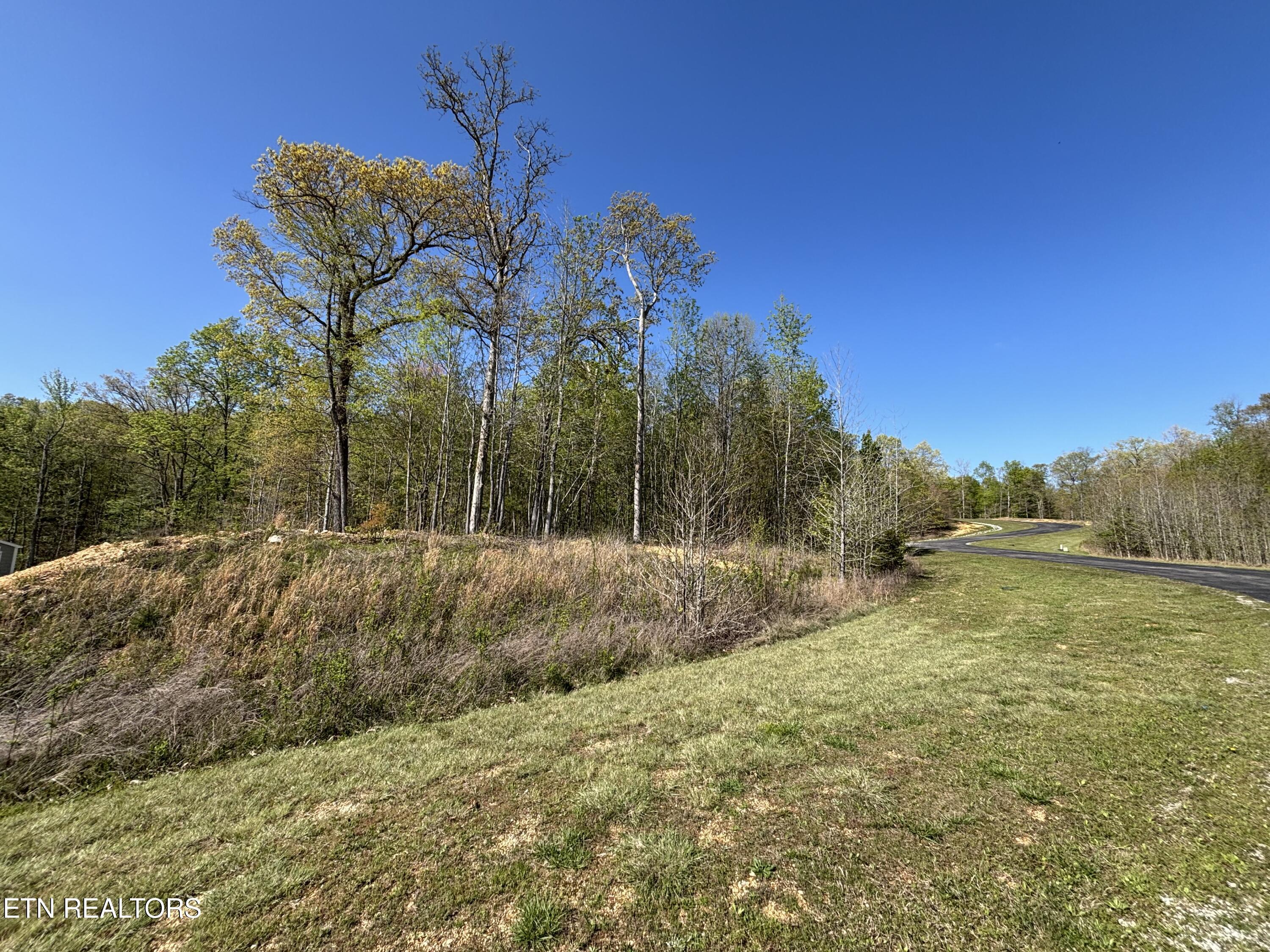 Property Photo:  Thief Neck View Drive  TN 37854 