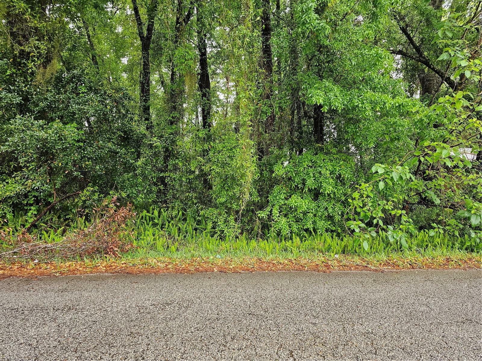 Property Photo: 00 NW 55 Avenue FL 34482