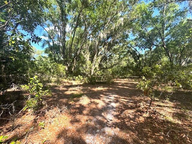 Property Photo: 4140 S Kenvera Loop FL 34450