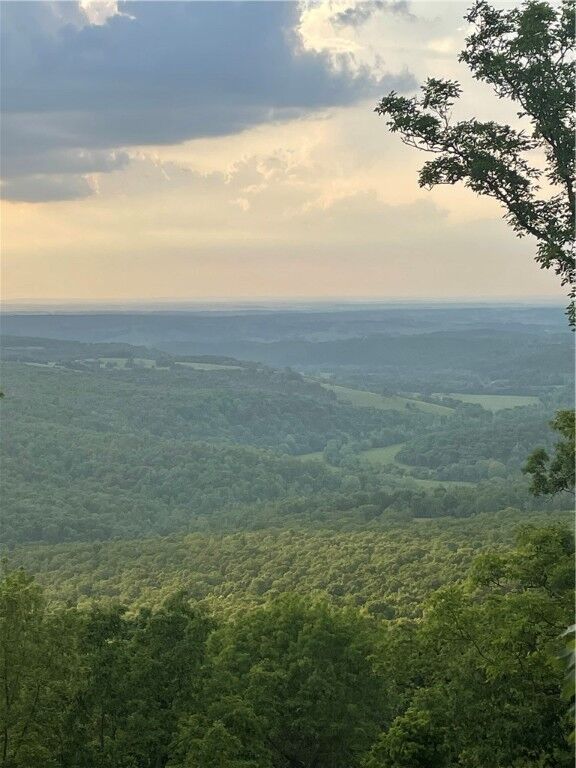 Property Photo:  Lot 40 Peaceful Place  AR 72601 