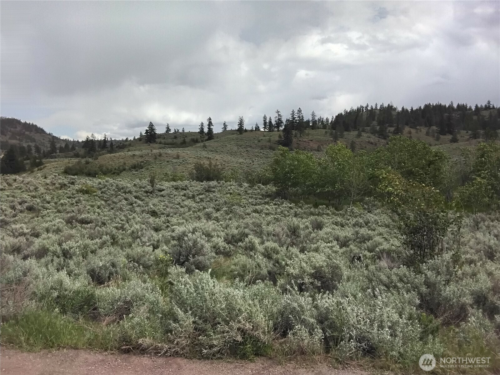 44  Palmer Mountain Road  Oroville WA 98844 photo