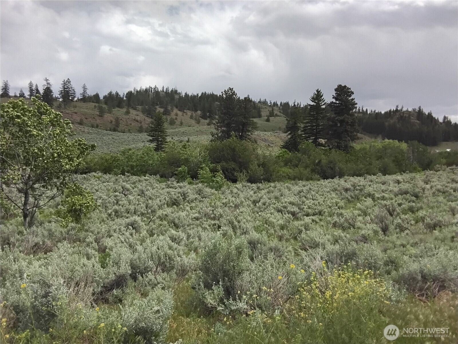 Property Photo:  44  Palmer Mountain Road  WA 98844 
