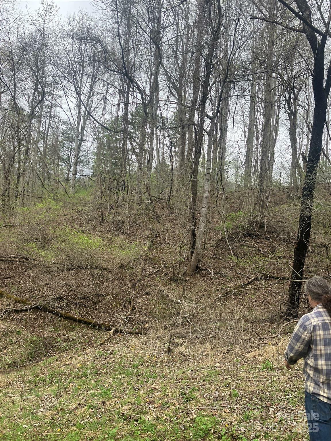 Property Photo: 9999 Davidson Gap Road NC 28748