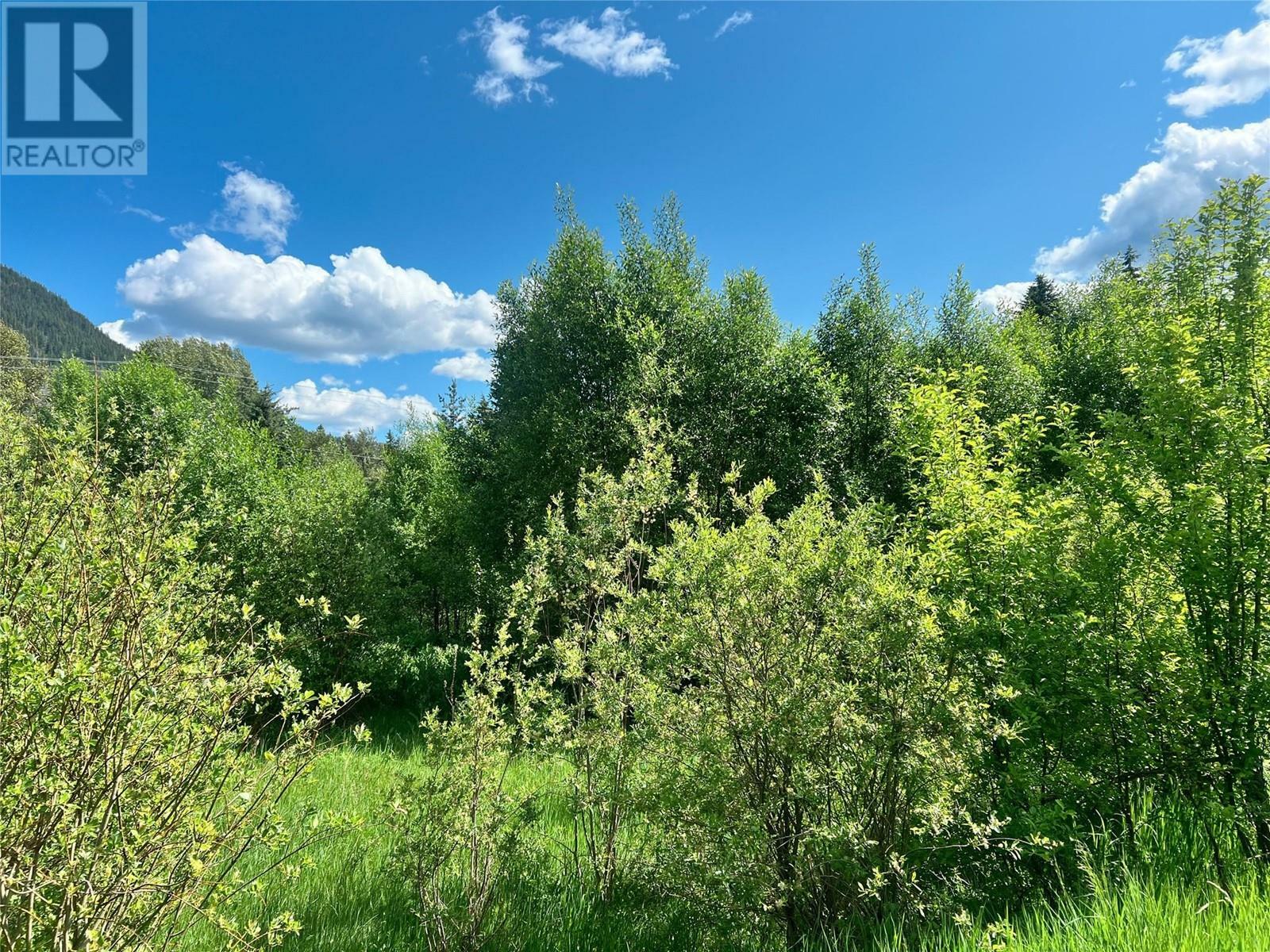 Property Photo:  Parcel F Railway Avenue  BC V0G 1Z0 