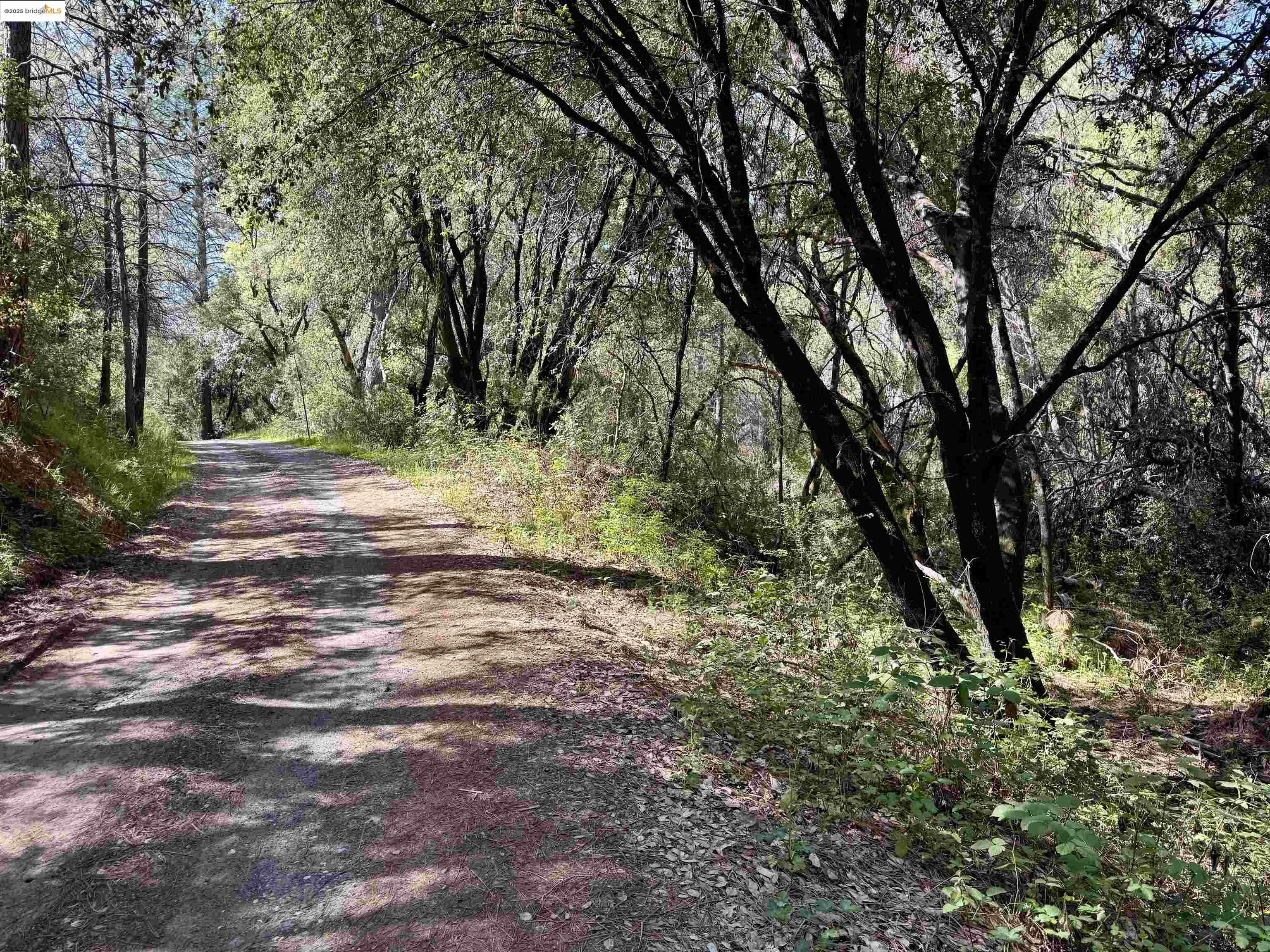 Property Photo: 21893 Sawmill Flat Rd CA 95370