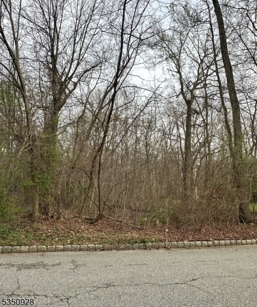 Property Photo: 54 Big Piece Rd NJ 07004