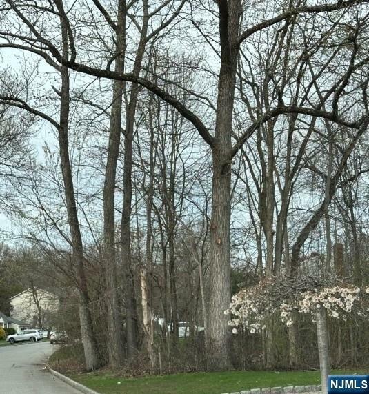 Property Photo: 54 Big Piece Road NJ 07004