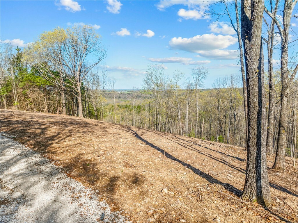 000 Tower Road  Omaha AR 72662 photo