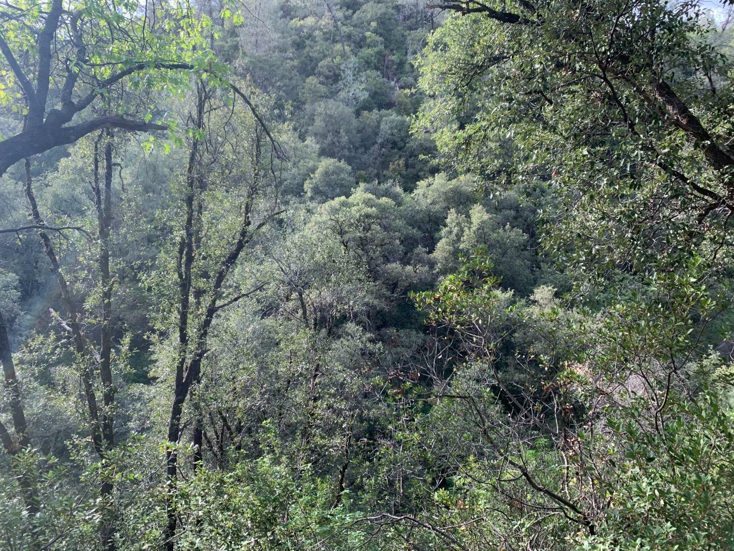 Property Photo: 1885 Pennsylvania Gulch Road CA 95247