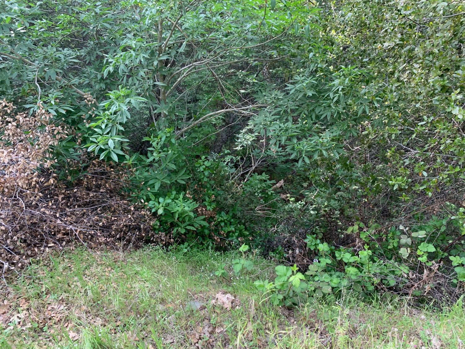Property Photo: 1779 Pennsylvania Gulch Road CA 95247
