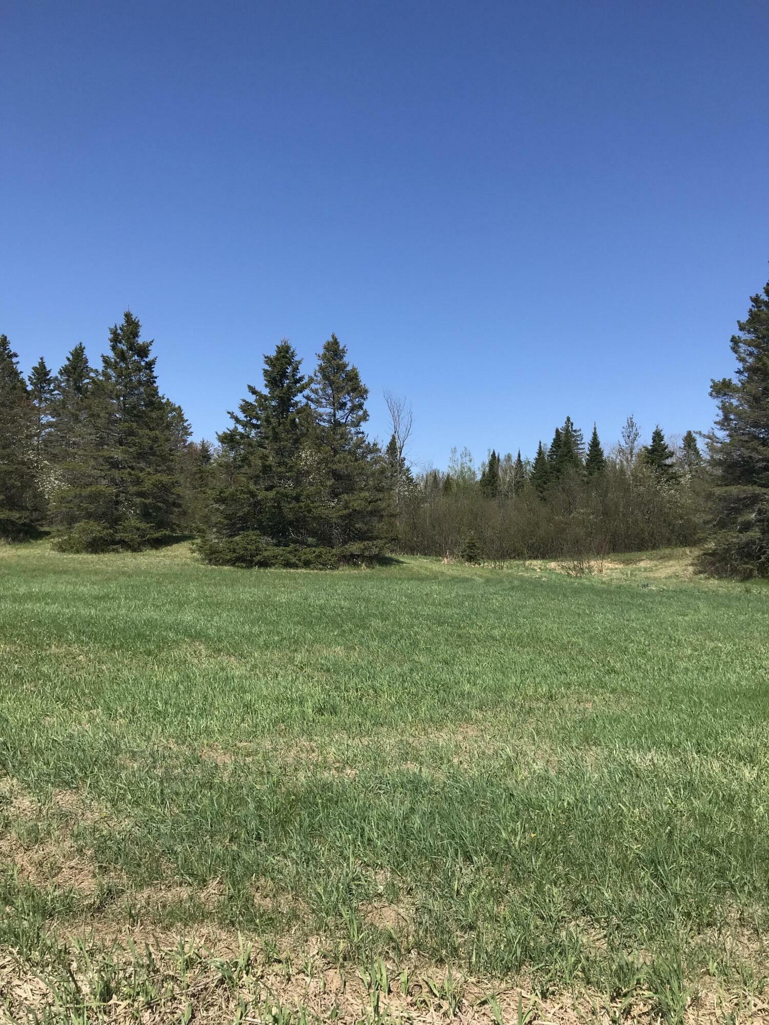 Property Photo: Tbd E Sand Ridge Rd MI 49736