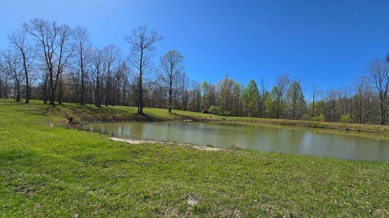 217 A Day Dream Drive  Dunlap TN 37327 photo
