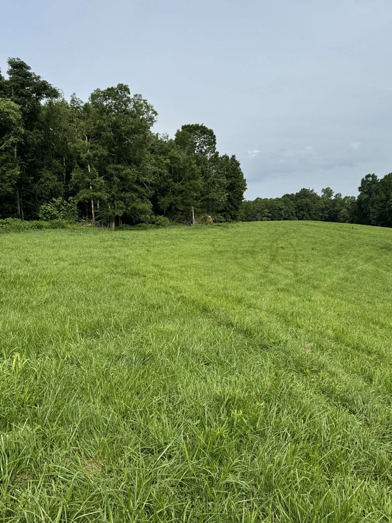 Property Photo: 0 Oak Grove Rd TN 37150