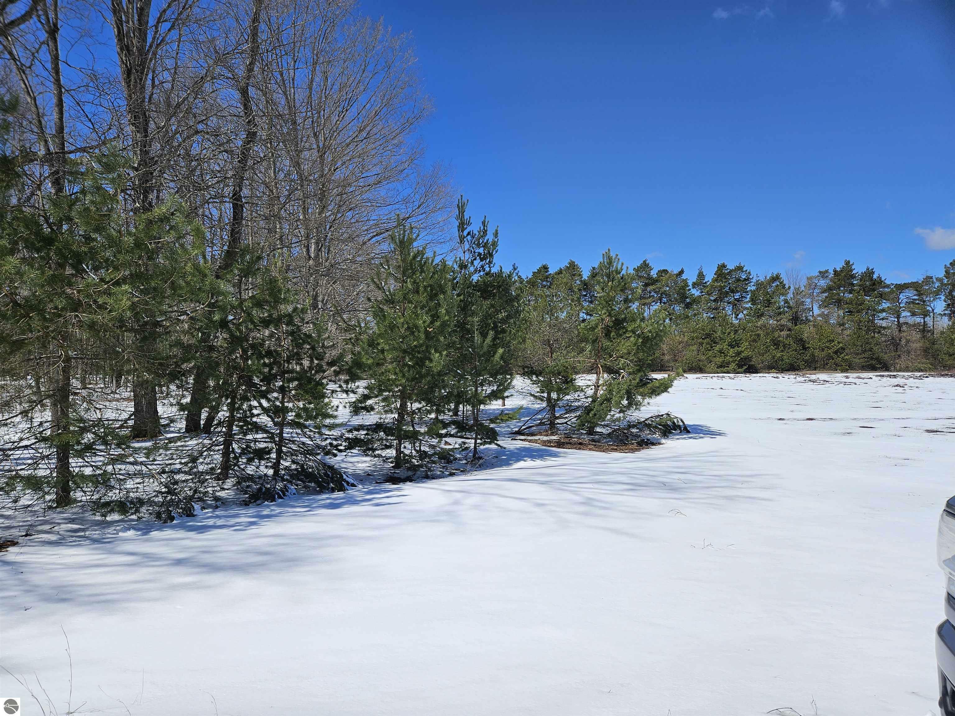 Property Photo: 0000 V/L "C" Grass Lake Road MI 49646