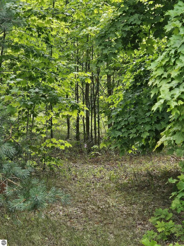 Property Photo: 0000 V/L "C" Grass Lake Road MI 49646