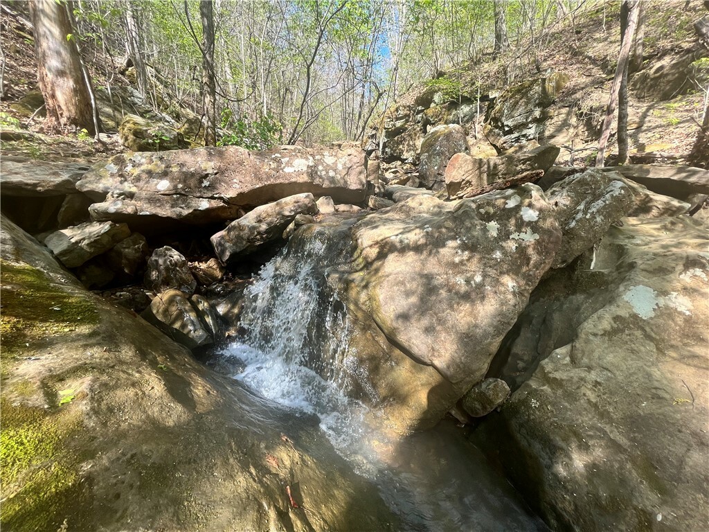Property Photo:  142 Nc 8389  AR 72641 