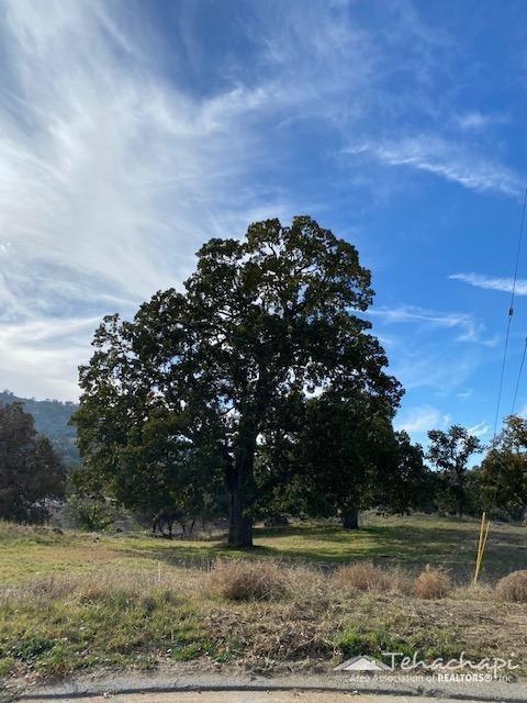 0 High Echelon Court  Tehachapi CA 93561 photo