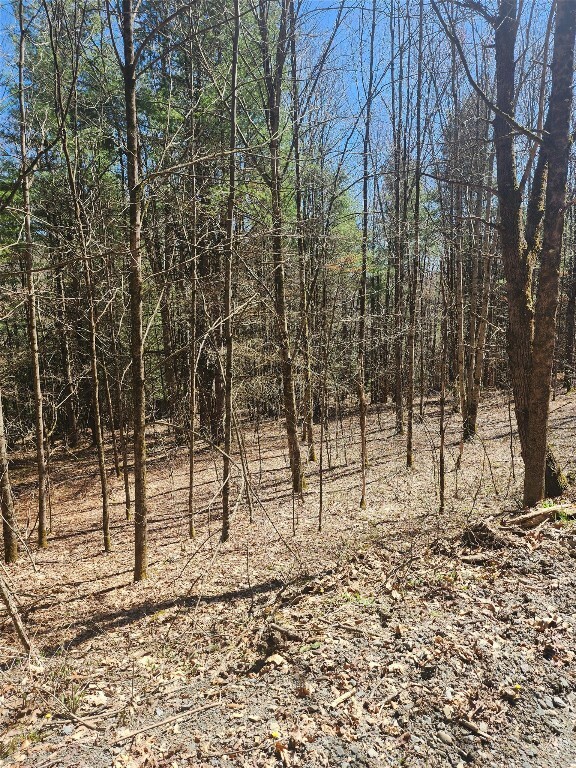Property Photo:  234 Tarbell Hill Road  NY 13754 