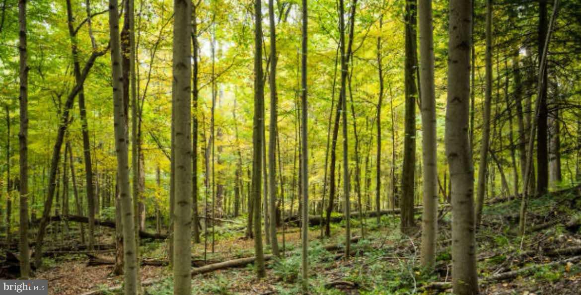 Property Photo: 280 Trevor Drive WV 25422