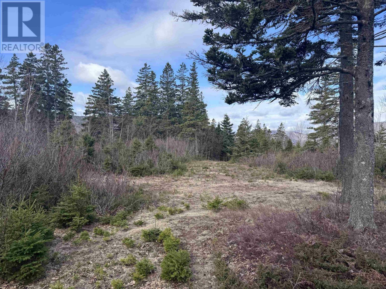 Property Photo:  Cabot Trail  NS B0C 1L0 