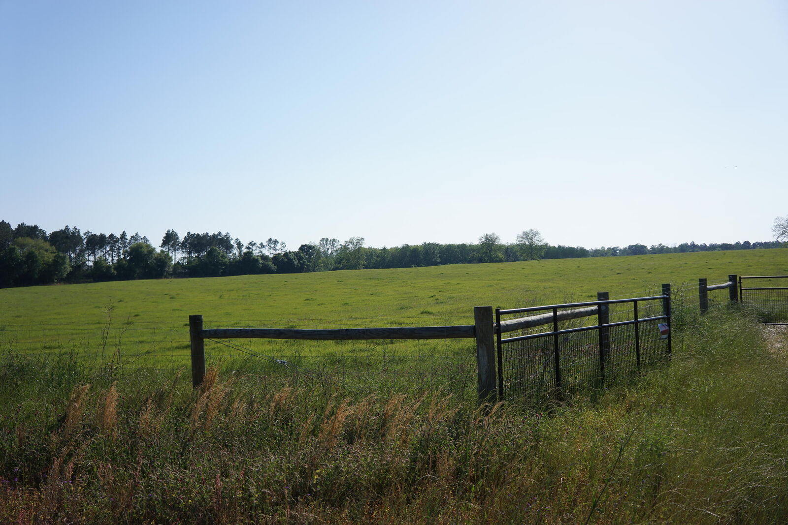 Property Photo: 7784 Hwy 393 FL 32567