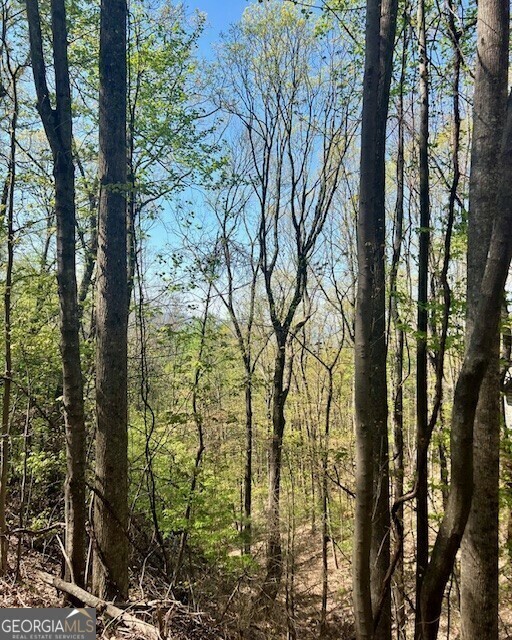 Property Photo: 450 Wild Turkey Bluff GA 30534