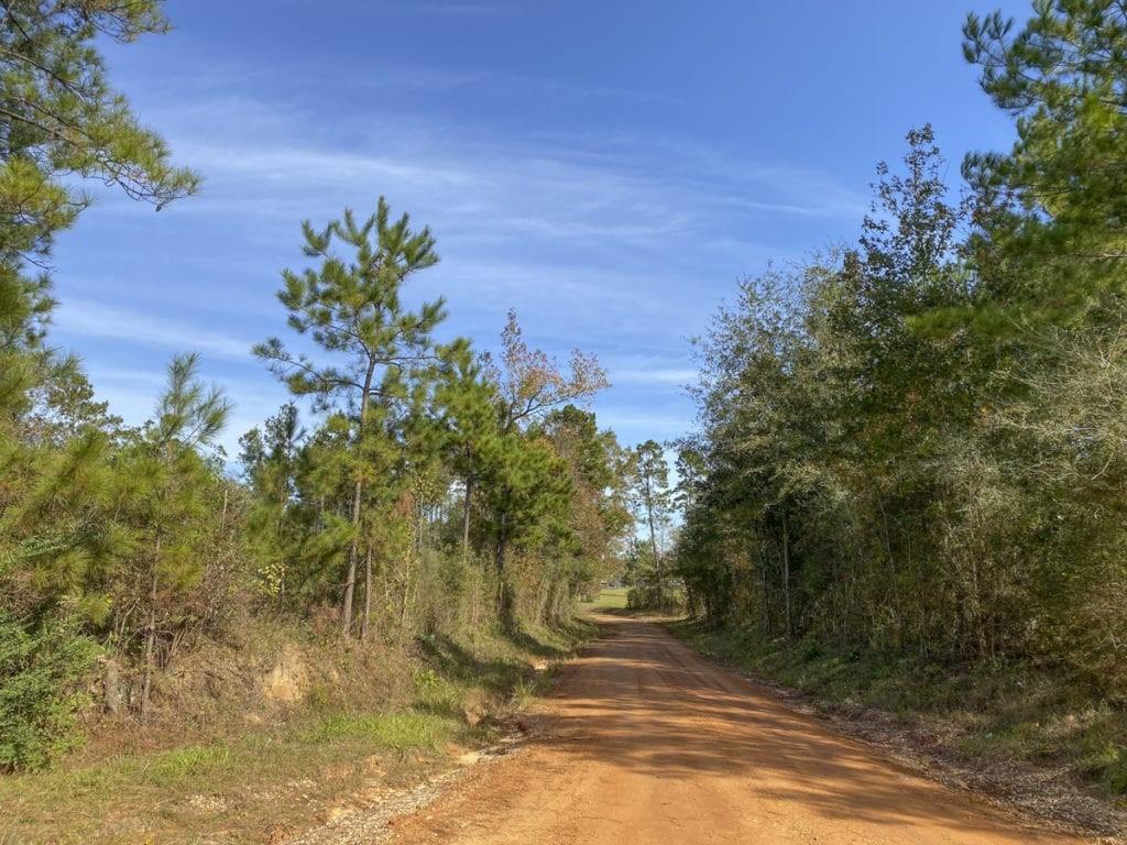 Property Photo: Tbd Cr 1150 TX 75979