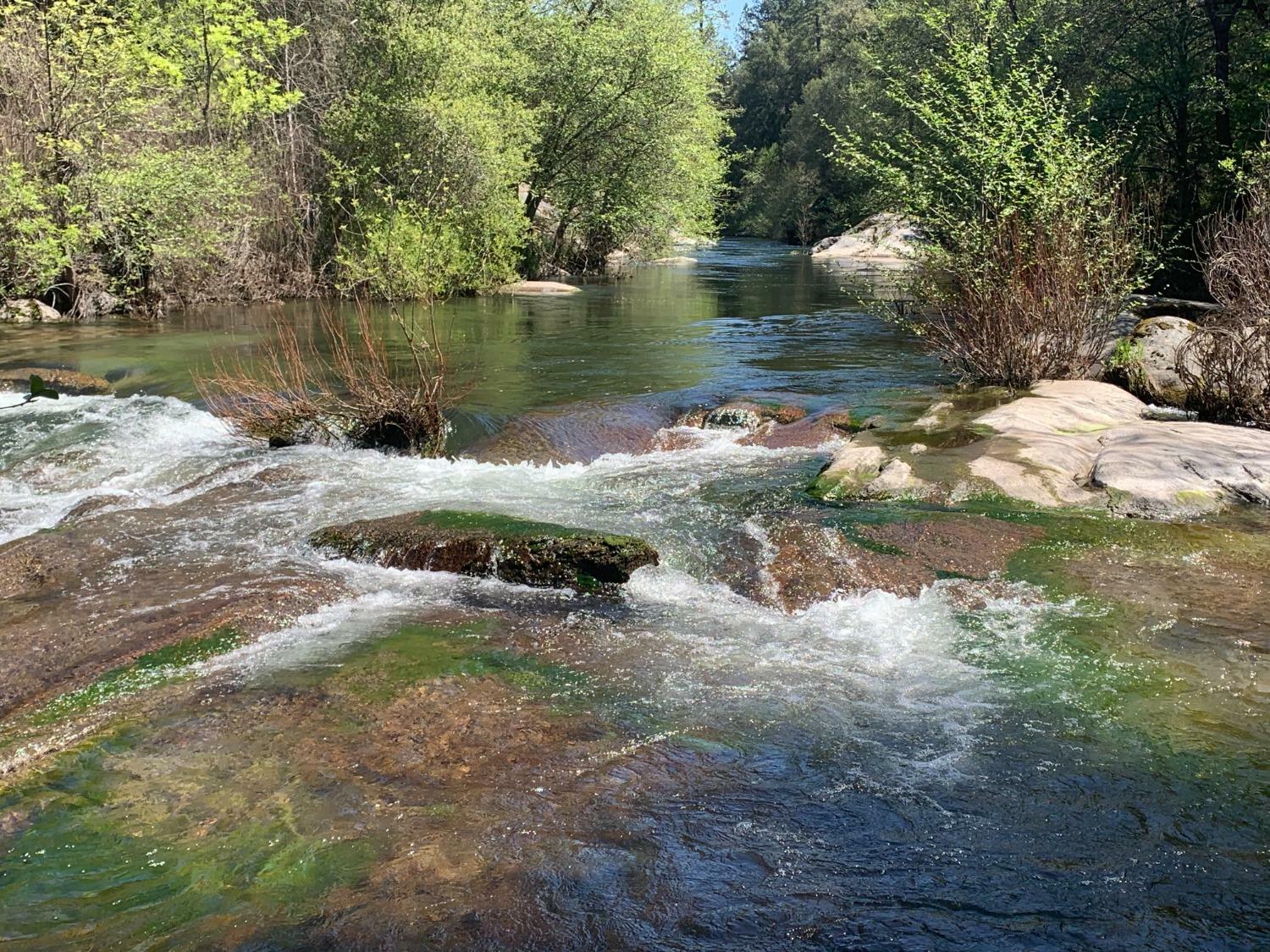 Property Photo: 1 Outingdale Road CA 95684