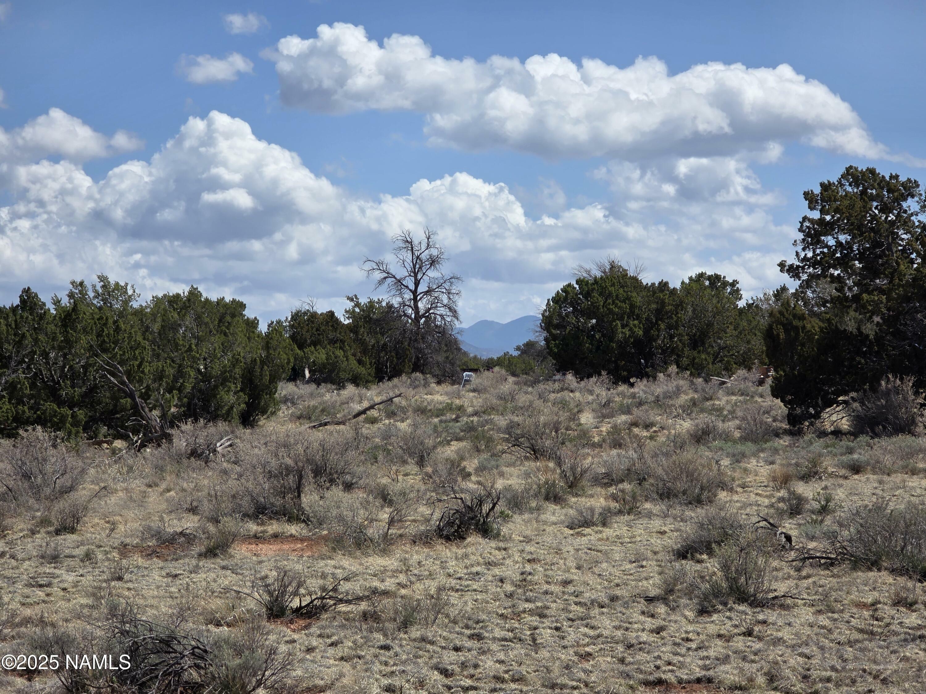 Property Photo:  Parcel # 50106027 / Wyandotte Rd  AZ 86046 