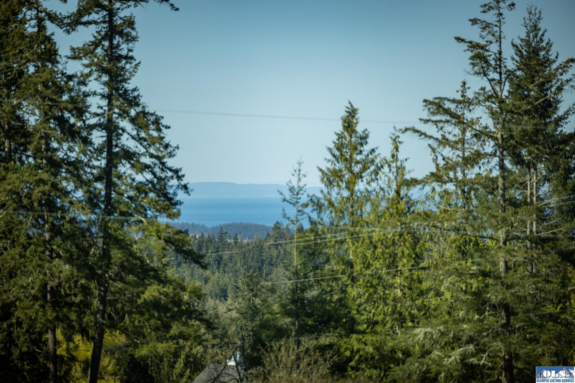 Property Photo: 43 Sofie Rd WA 98382