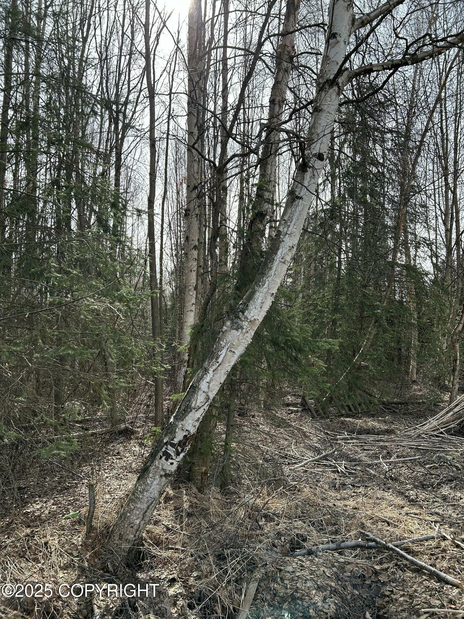 Property Photo: L19 B2 Chugach Meadows AK 99507