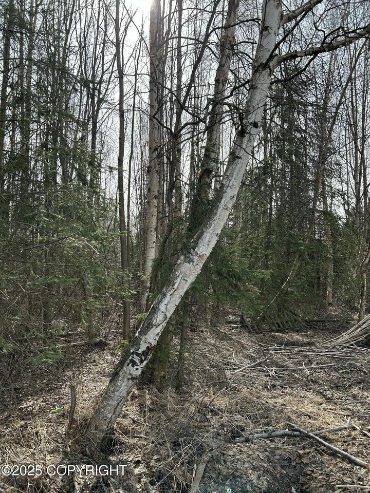 Property Photo:  L19 B2 Chugach Meadows  AK 99507 