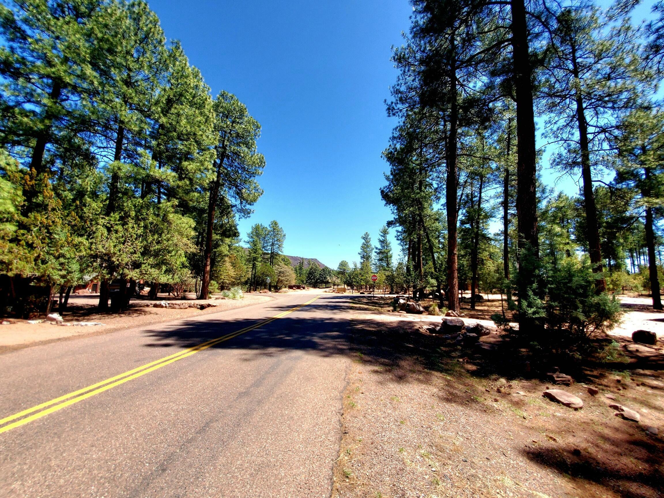 Property Photo: 87 N Mistletoe AZ 85544