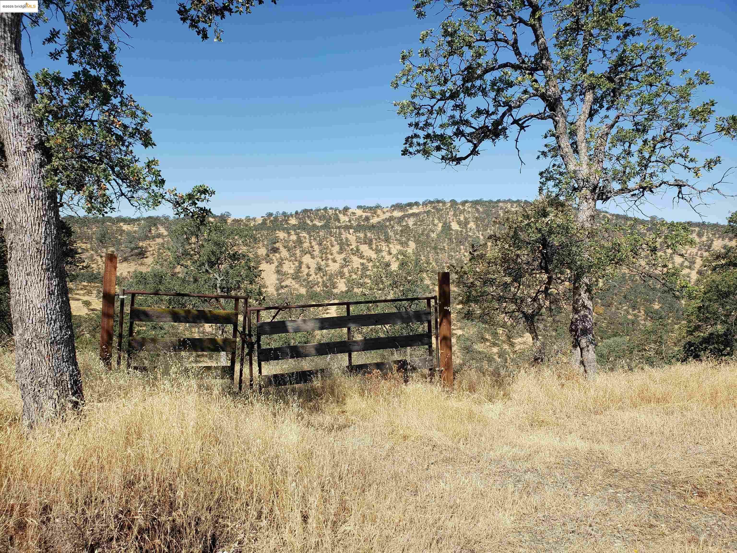 Property Photo: 1400 Medina Court CA 95329
