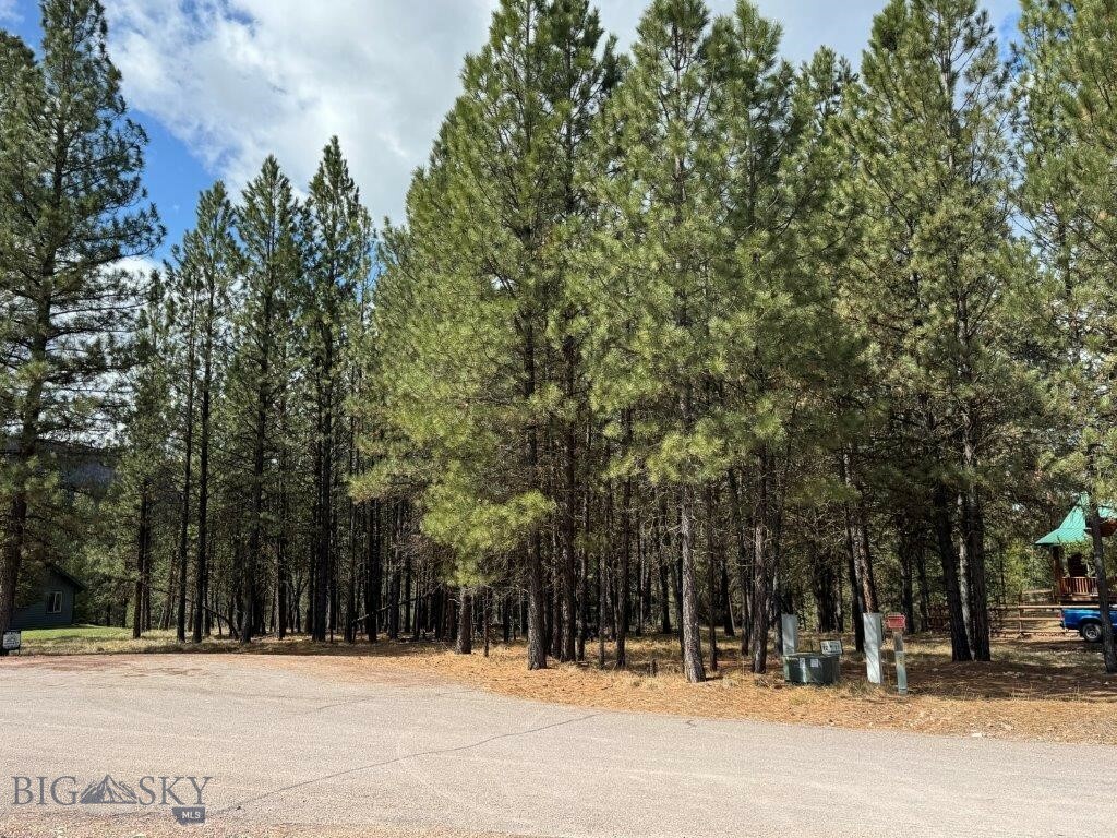 Tbd Dunham Court  Seeley Lake MT 59868 photo
