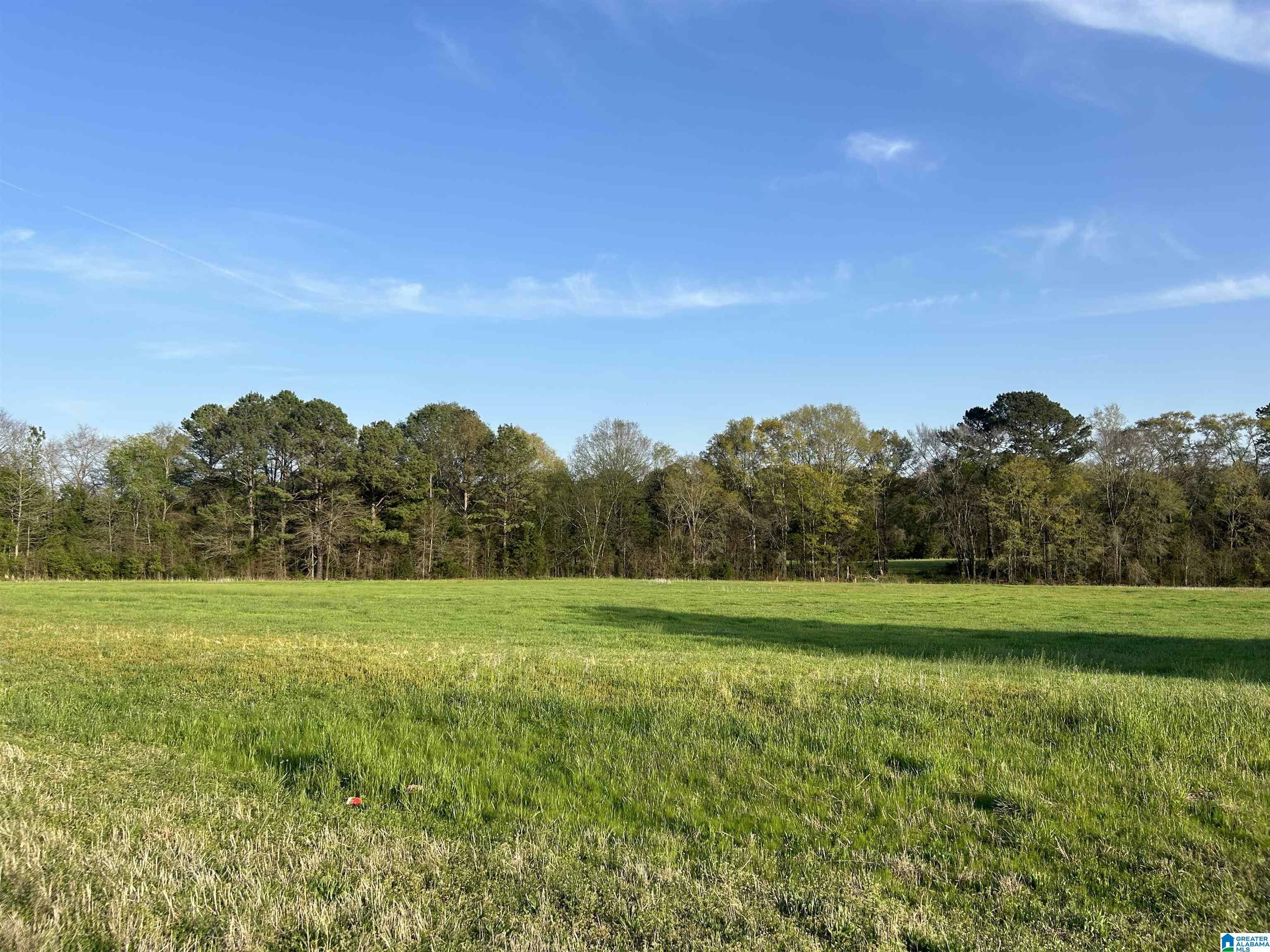 Property Photo: 00 Speedway Boulevard 00 AL 35096