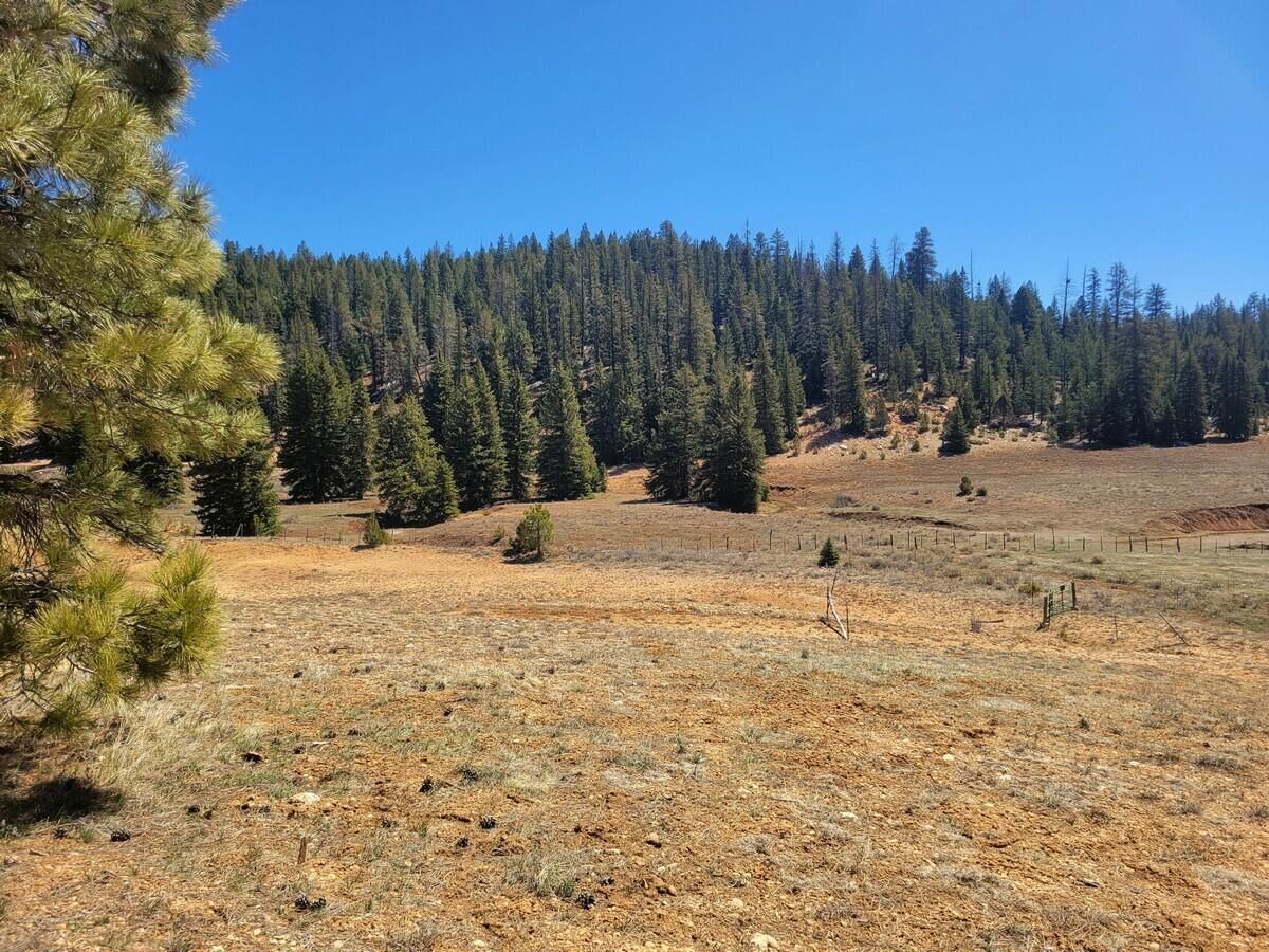 Property Photo:  520 & 530 N Grassy Trail  UT 84762 