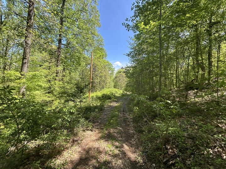 Property Photo: 1062 Joslin Branch Rd TN 37187